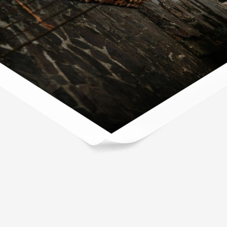 Poster RUSTIC FARMHOUSE YARD -  Sticky 1