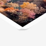 Poster VINTAGE PASTEL CORAL REEF 3