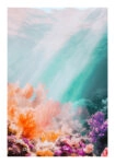 Poster VINTAGE PASTEL CORAL REEF 4