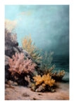 Poster VINTAGE PASTEL CORAL REEF