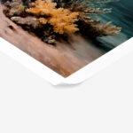 Poster VINTAGE PASTEL CORAL REEF