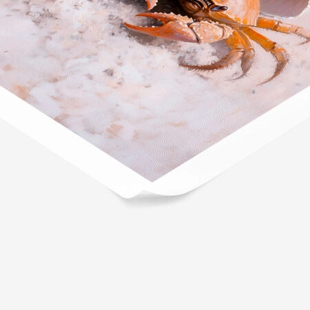 Poster VINTAGE PASTEL CRAB - Vintage Posters Sticky 1