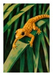Poster VINTAGE PASTEL GEKO
