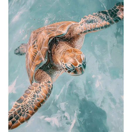Poster VINTAGE PASTEL SEA TURTLE 3 - Vintage Posters Sticky 2