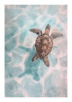 Poster VINTAGE PASTEL SEA TURTLE