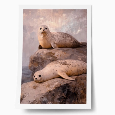 Poster VINTAGE PASTEL SEALS - Vintage Posters