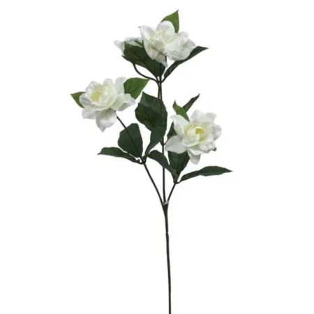 ΚΛΑΔΙ ΕΚΡΟΥ ΓΑΡΔΕΝΙΑ Y60cm. 24/288KIB - Κασπω