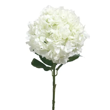 ΚΛΑΔΙ ΟΡΤΑΝΣΙΑ ΓΙΓΑΣ ΕΚΡΟΥ Φ28-Y90cm. 12/72ΚΙΒ - Κασπω