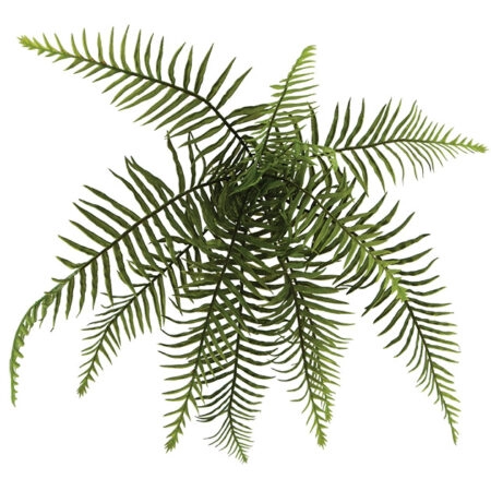 ΡΙΖΑ ΚΡΕΜΑΣΤΗ ΦΤΕΡΗ Φ60xY35cm 48/288KIB - Κασπω