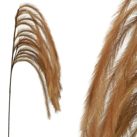 FOAM ΚΑΦΕ ΠΟΥΠΟΥΛΟ ΚΡΕΜΑΣΤΟ Y146/92cm 12/120KIB - Κασπω