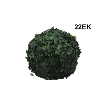 ΜΠΑΛΑ ΠΥΞΑΡΙ ΚΙΣΣΟΣ - Φ22cm 6/24ΚΙΒ - Κασπω
