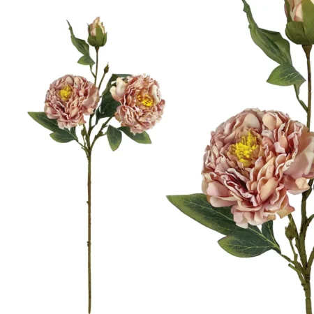 ΣΟΜΟΝ ΠΑΣΤΕΛ ΚΛΑΔΙ ΠΑΙΩΝΙΑ - Υ71cm 24/144ΚΙΒ - Κασπω