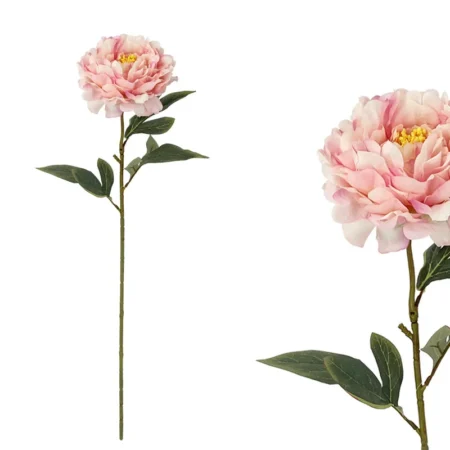 ΡΟΖ ΠΑΣΤΕΛ ΚΛΑΔΙ ΠΑΙΩΝΙΑ - Υ61cm 24/144ΚΙΒ - Κασπω
