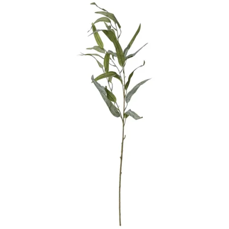 ΚΛΑΔΙ ΕΥΚΑΛΥΠΤΟΣ ΠΡΑΣΙΝΟ ΠΑΓΟΥ - Υ90cm 60/360ΚΙΒ - Κασπω