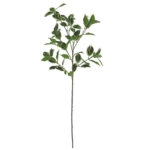 ΚΛΑΔΙ ΦΙΚΟΣ ΜΠΕΝΖΑΜΙΝ ΠΡΑΣΙΝΟ 2ΧΡΩΜΟ - Υ80cm 60/360ΚΙΒ