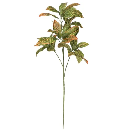 ΚΛΑΔΙ ΚΡΟΤΩΝΑΣ ΠΡΑΣΙΝΟ/ΚΙΤΡΙΝΟ - Υ90cm 12/120ΚΙΒ - Κασπω