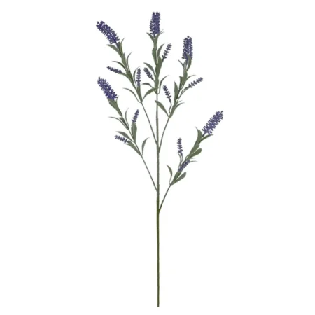 ΚΛΑΔΙ ΛΕΒΑΝΤΑΣ ΜΩΒ - Y84cm 24/168KIB - Κασπω