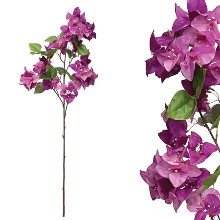 ΚΛΑΔΙ ΒΟΥΚΑΜΒΙΛΙΑΣ ΜΩΒ - Υ108cm 24/144KIB - Κασπω