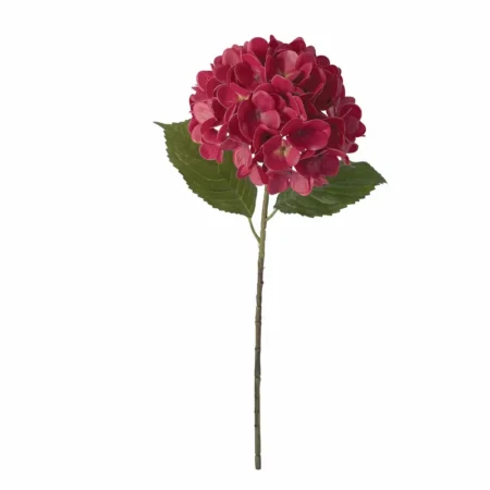 ΚΛΑΔΙ ΟΡΤΑΝΣΙΑΣ ΚΟΚΚΙΝΟ REAL TOUCH ΜΕ 2 ΦΥΛΛΑ - Φ22.5x55cm 24/240ΚΙΒ - Κασπω