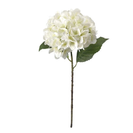 ΚΛΑΔΙ ΟΡΤΑΝΣΙΑΣ ΛΕΥΚΟ REAL TOUCH ΜΕ 2 ΦΥΛΛΑ - Φ22.5x55cm 24/240ΚΙΒ - Κασπω