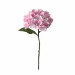 ΚΛΑΔΙ ΟΡΤΑΝΣΙΑΣ ΡΟΖ REAL TOUCH ΜΕ 2 ΦΥΛΛΑ - Φ18x46cm 24/240ΚΙΒ