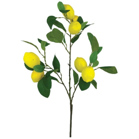 ΚΛΑΔΙ ΛΕΜΟΝΙΑΣ ΚΙΤΡΙΝΟ ΜΕ ΚΑΡΠΟΥΣ - Y62cm 12/72ΚΙΒ - Κασπω