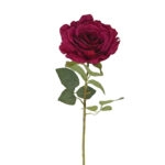 ΚΛΑΔΙ ΦΟΥΞ ΤΡΙΑΝΤΑΦΥΛΛΟ - Y62cm 12/144KIB