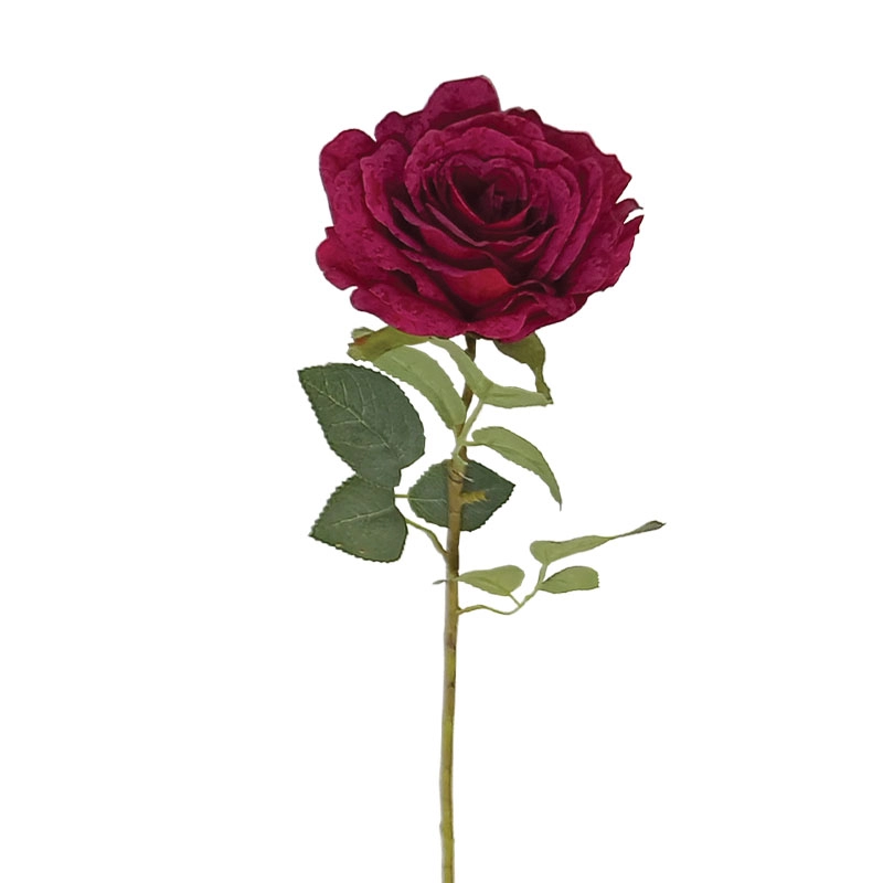 ΚΛΑΔΙ ΦΟΥΞ ΤΡΙΑΝΤΑΦΥΛΛΟ - Y62cm 12/144KIB
