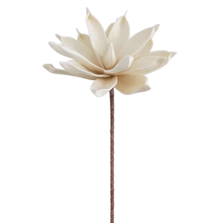 ΚΛΑΔΙ FOAM ΝΟΥΦΑΡΟ ΜΠΕΖ/ΚΑΦΕ - Y75cm 24/240ΚΙΒ