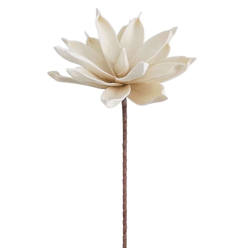 ΚΛΑΔΙ FOAM ΝΟΥΦΑΡΟ ΜΠΕΖ/ΚΑΦΕ - Y75cm 24/240ΚΙΒ