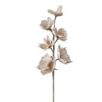 ΚΛΑΔΙ FOAM ΜΠΕΖ ΑΝΘΗ ΟΡΧΙΔΕΑΣ X6 - Y79cm 6/60ΚΙΒ