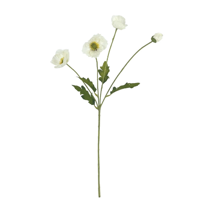 ΚΛΑΔΙ ΠΑΠΑΡΟΥΝΑ ΛΕΥΚΟ Χ4 ΑΝΘΗ - 57cm 24/240ΚΙΒ