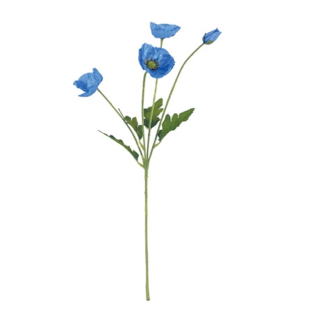 ΚΛΑΔΙ ΠΑΠΑΡΟΥΝΑ ΜΠΛΕ Χ4 ΑΝΘΗ - 57cm 24/240ΚΙΒ - Κασπω