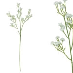 ΚΛΑΔΙ ΓΥΨΟΦΙΛΗ ΛΕΥΚΟ Χ3 ΑΝΘΗ - 57cm 60/600ΚΙΒ