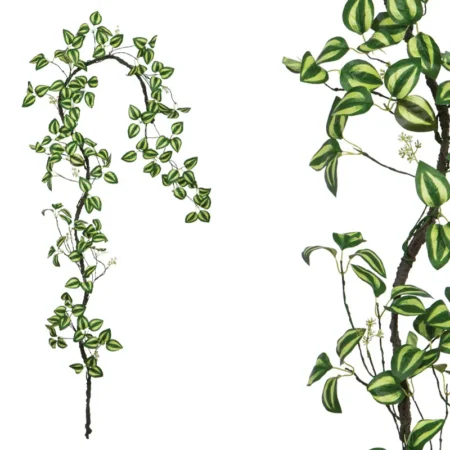 ΓΙΡΛΑΝΤΑ ΚΛΑΡΑ ΜΕ ΔΙΧΡΩΜΑ ΠΡΑΣΙΝΑ ΦΥΛΛΑ - Υ240cm 120/ΚΙΒ - Κασπω