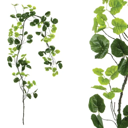 ΓΙΡΛΑΝΤΑ ΚΛΑΡΑ ΜΕ ΠΡΑΣΙΝΑ ΦΥΛΛΑ - Υ240cm 160/ΚΙΒ - Κασπω