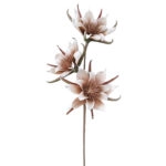 ΚΛΑΔΙ FOAM ΚΑΦΕ/ΛΕΥΚΟ ΛΙΛΙΟΥΜ ΑΝΘΗ Χ3 - Υ81cm 12/120ΚΙΒ