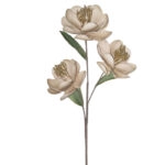 ΚΛΑΔΙ FOAM ΜΠΕΖ/ΧΡΥΣΟ ΑΝΘΗ ΜΑΝΩΛΙΑΣ Χ3 - Υ89cm 12/120ΚΙΒ