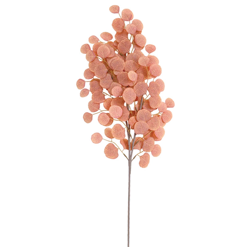 ΚΛΑΔΙ FOAM ΣΟΜΟΝ ΦΥΛΛΑ ΕΥΚΑΛΥΠΤΟΥ - Υ116cm 12/60ΚΙΒ