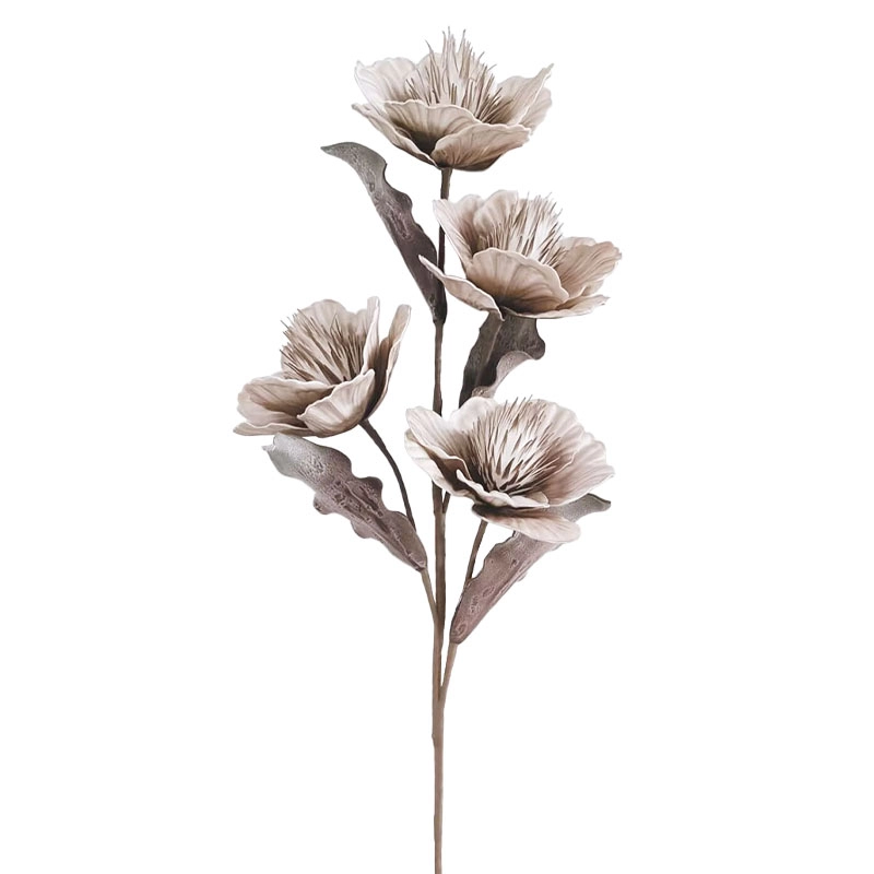 ΚΛΑΔΙ FOAM ΚΑΦΕ ΑΓΡΙΟΛΟΥΛΟΥΔΟ Χ5 - Υ92cm 12/120ΚΙΒ