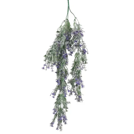ΡΙΖΑ ΚΡΕΜΑΣΤΗ ΜΩΒ ΛΕΒΑΝΤΑ ΠΡΑΣΙΝΑΔΑ - Υ80cm 3/48ΚΙΒ - Κασπω