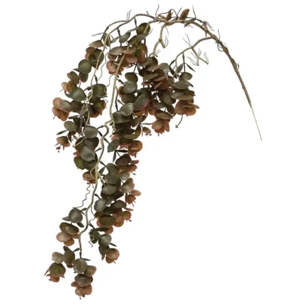 ΡΙΖΑ ΚΡΕΜΑΣΤΗ ΒΙΓΟΝΙΑ ΚΑΦΕ - Υ87cm 24/144ΚΙΒ - Κασπω