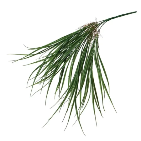 ΡΙΖΑ ΚΡΕΜΑΣΤΗ ΙΕΡΟΧΛΟΗ ΠΡΑΣΙΝΟ - Y62cm 24/144ΚΙΒ - Κασπω
