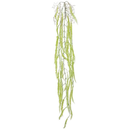ΡΙΖΑ ΚΡΕΜΑΣΤΗ ΦΤΕΡΗ ΛΑΧΑΝΙ - Y136cm 36/144ΚΙΒ - Κασπω