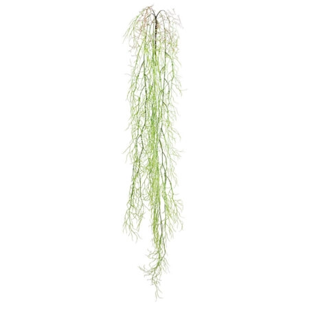ΡΙΖΑ ΚΡΕΜΑΣΤΗ ΑΕΡΟΦΥΤΟ ΛΑΧΑΝΙ - Y138cm 36/144ΚΙΒ - Κασπω