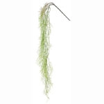ΡΙΖΑ ΚΡΕΜΑΣΤΗ ΑΕΡΟΦΥΤΟ ΛΑΧΑΝΙ - Y138cm 36/144ΚΙΒ