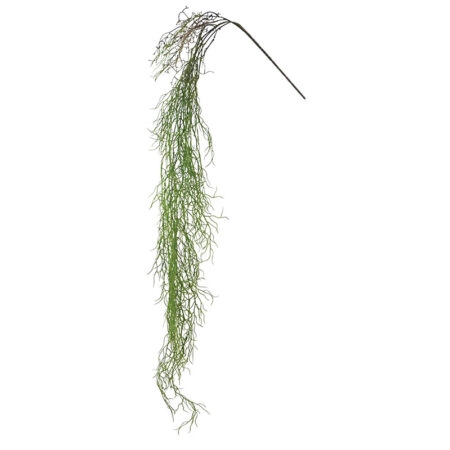 ΡΙΖΑ ΚΡΕΜΑΣΤΗ ΑΕΡΟΦΥΤΟ ΠΡΑΣΙΝΟ - Y138cm 36/144ΚΙΒ - Κασπω Sticky 1