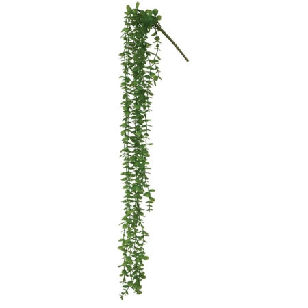 ΡΙΖΑ ΚΡΕΜΑΣΤΗ ΙΤΙΑ ΠΡΑΣΙΝΟ - Υ105cm 36/144ΚΙΒ - Κασπω Sticky 1