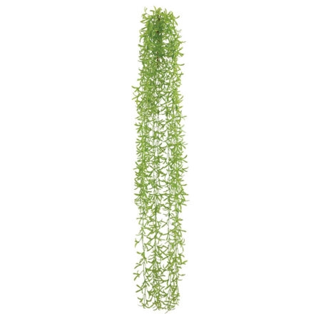 ΡΙΖΑ ΚΡΕΜΑΣΤΗ ΙΤΙΑ ΛΑΧΑΝΙ - Y110cm 36/180ΚΙΒ - Κασπω