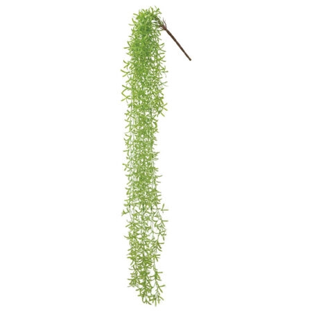 ΡΙΖΑ ΚΡΕΜΑΣΤΗ ΙΤΙΑ ΛΑΧΑΝΙ - Y110cm 36/180ΚΙΒ - Κασπω Sticky 1